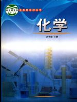 鲁教版九年级化学下册