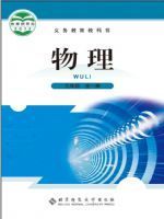 北师大版九年级物理全册