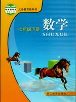浙教版七年级数学下册